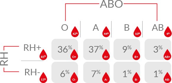 bijlage Oriëntatiepunt bad Indeling en compatibiliteit van de bloedgroepen – Service du Sang -  Belgische Rode Kruis