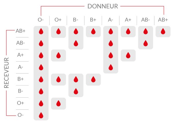 Repartition Et Compatibilite Des Groupes Sanguins Service Du Sang De La Croix Rouge De Belgique